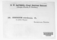 Image Associated With the Occurence